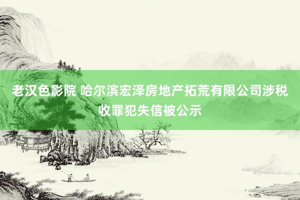 老汉色影院 哈尔滨宏泽房地产拓荒有限公司涉税收罪犯失信被公示