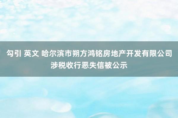 勾引 英文 哈尔滨市朔方鸿铭房地产开发有限公司涉税收行恶失信被公示