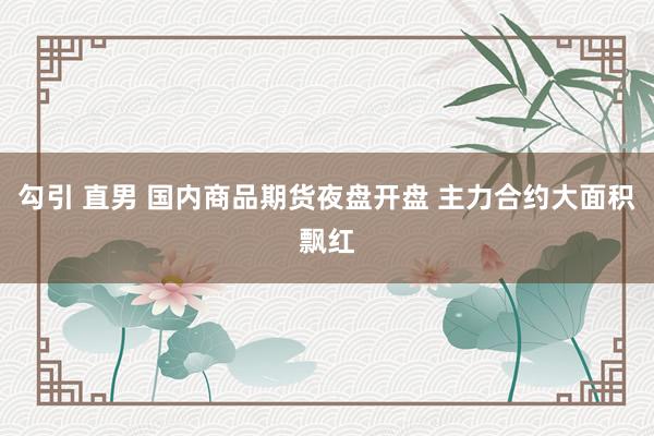 勾引 直男 国内商品期货夜盘开盘 主力合约大面积飘红