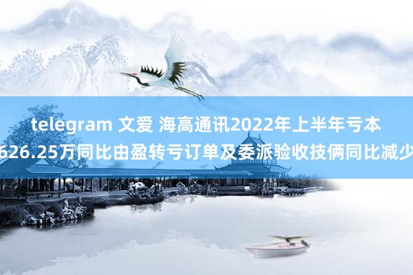 telegram 文爱 海高通讯2022年上半年亏本626.25万同比由盈转亏订单及委派验收技俩同比减少