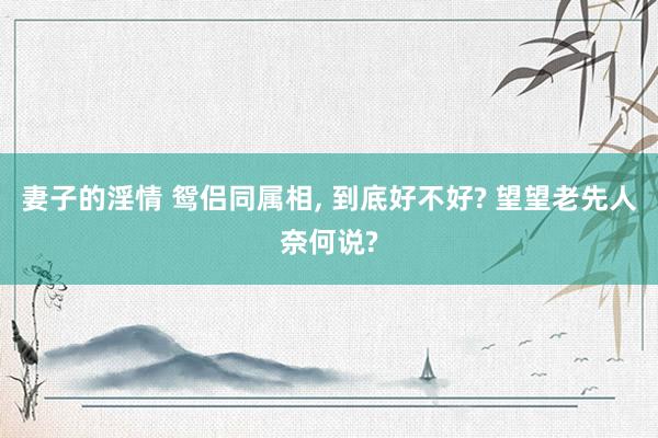 妻子的淫情 鸳侣同属相， 到底好不好? 望望老先人奈何说?