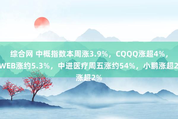 综合网 中概指数本周涨3.9%，CQQQ涨超4%，KWEB涨约5.3%，中进医疗周五涨约54%，小鹏涨超2%