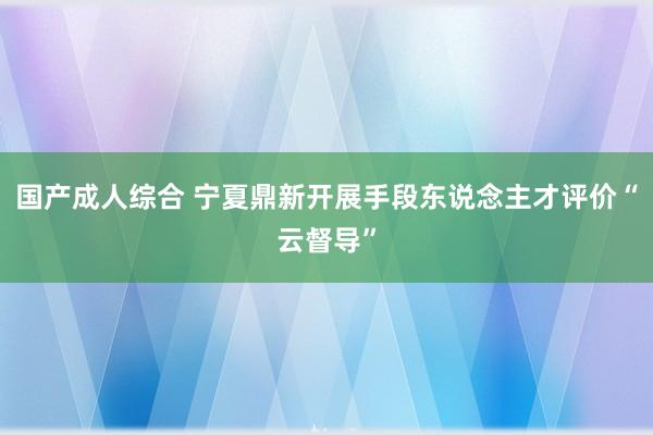 国产成人综合 宁夏鼎新开展手段东说念主才评价“云督导”