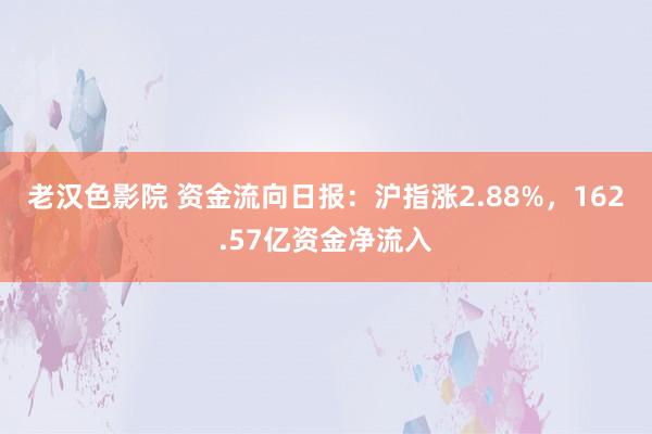 老汉色影院 资金流向日报：沪指涨2.88%，162.57亿资金净流入