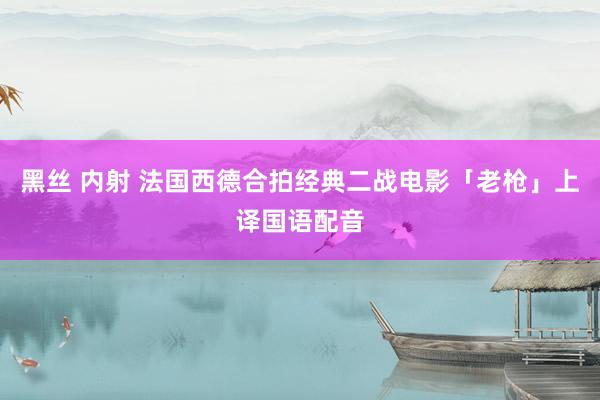 黑丝 内射 法国西德合拍经典二战电影「老枪」上译国语配音