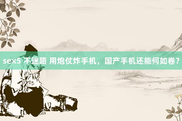 sex5 不迷路 用炮仗炸手机，国产手机还能何如卷？