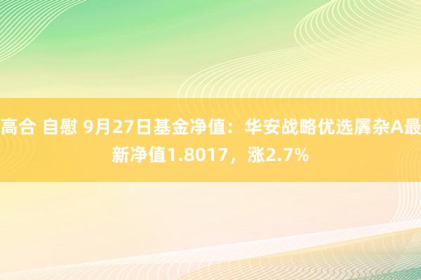 高合 自慰 9月27日基金净值：华安战略优选羼杂A最新净值1.8017，涨2.7%