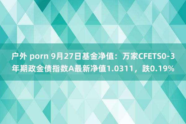 户外 porn 9月27日基金净值：万家CFETS0-3年期政金债指数A最新净值1.0311，跌0.19%