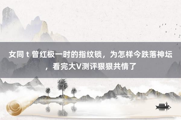 女同 t 曾红极一时的指纹锁，为怎样今跌落神坛，看完大V测评狠狠共情了