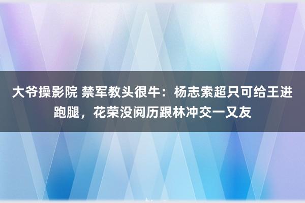 大爷操影院 禁军教头很牛：杨志索超只可给王进跑腿，花荣没阅历跟林冲交一又友