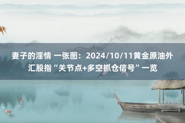 妻子的淫情 一张图：2024/10/11黄金原油外汇股指“关节点+多空抓仓信号”一览
