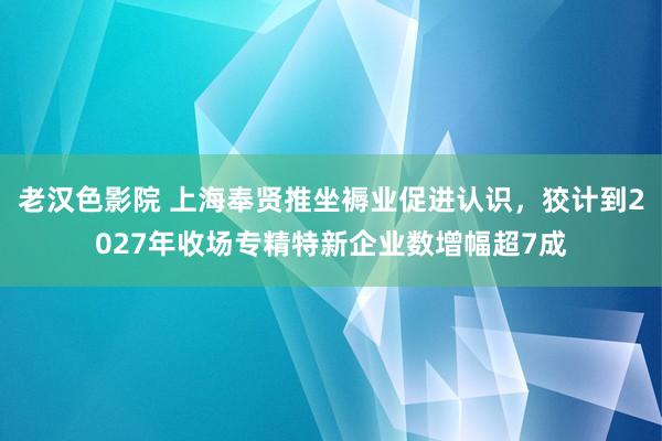 老汉色影院 上海奉贤推坐褥业促进认识，狡计到2027年收场专精特新企业数增幅超7成