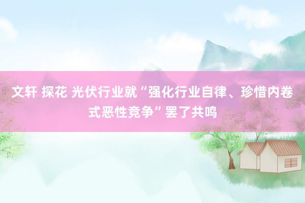 文轩 探花 光伏行业就“强化行业自律、珍惜内卷式恶性竞争”罢了共鸣
