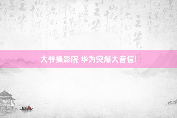 大爷操影院 华为突爆大音信!