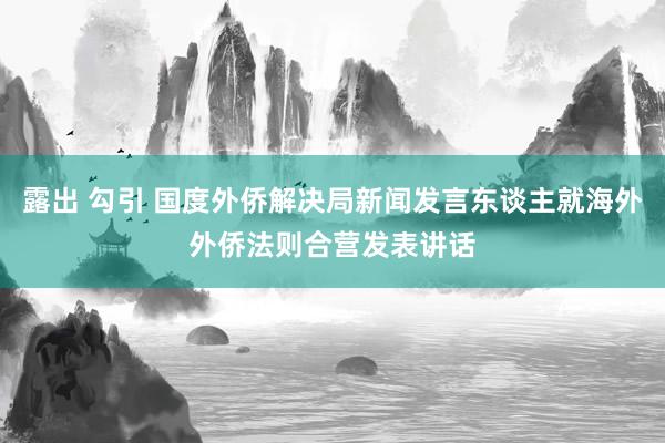 露出 勾引 国度外侨解决局新闻发言东谈主就海外外侨法则合营发表讲话