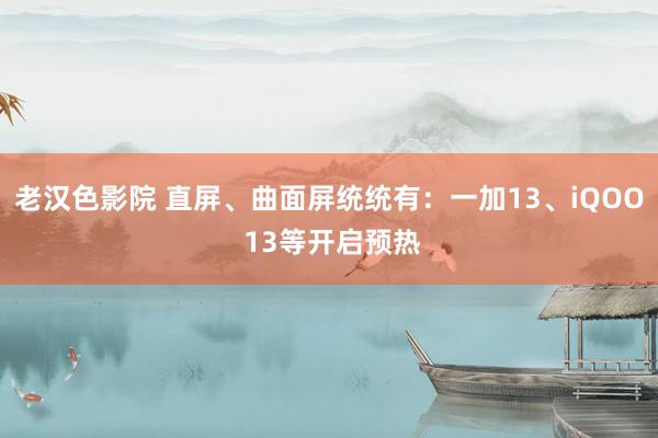 老汉色影院 直屏、曲面屏统统有：一加13、iQOO 13等开启预热