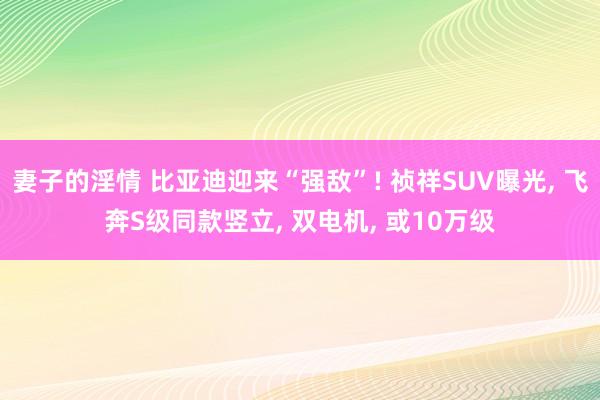 妻子的淫情 比亚迪迎来“强敌”! 祯祥SUV曝光， 飞奔S级同款竖立， 双电机， 或10万级