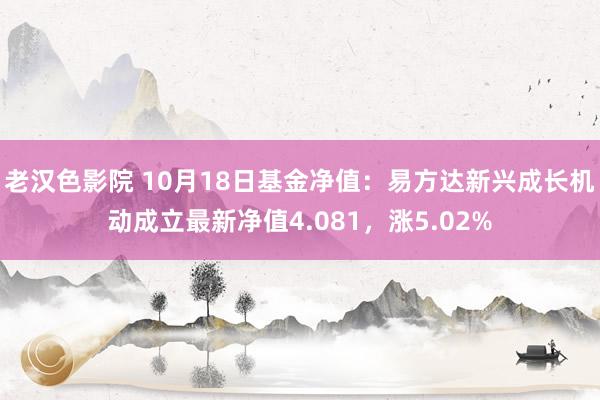 老汉色影院 10月18日基金净值：易方达新兴成长机动成立最新净值4.081，涨5.02%