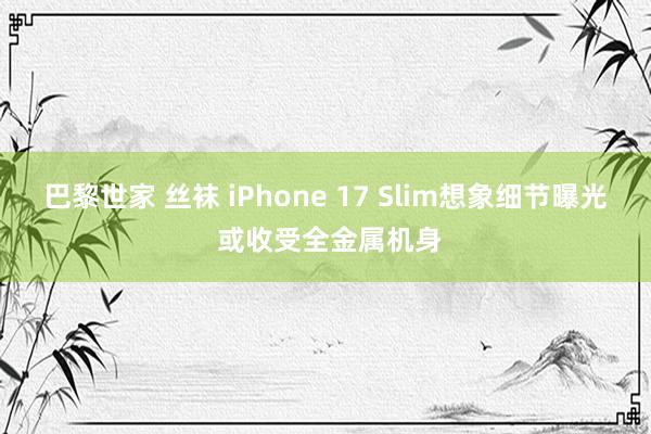 巴黎世家 丝袜 iPhone 17 Slim想象细节曝光 或收受全金属机身