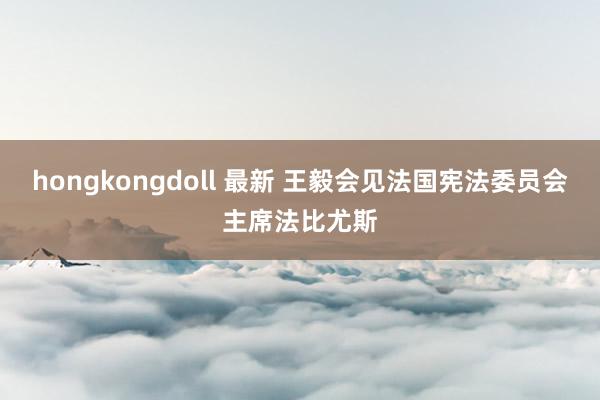 hongkongdoll 最新 王毅会见法国宪法委员会主席法比尤斯