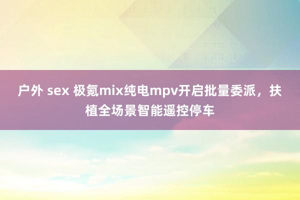户外 sex 极氪mix纯电mpv开启批量委派，扶植全场景智能遥控停车