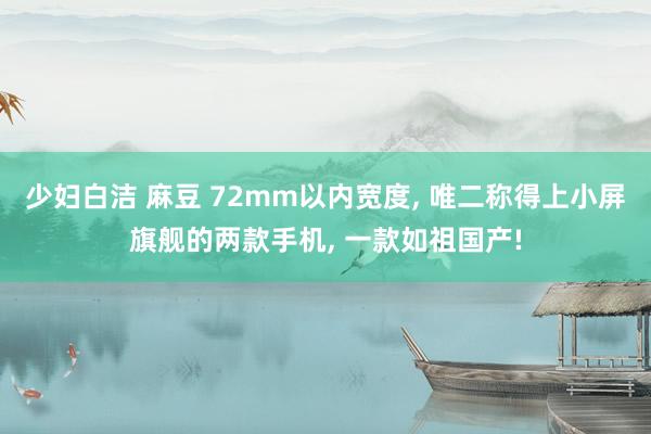 少妇白洁 麻豆 72mm以内宽度， 唯二称得上小屏旗舰的两款手机， 一款如祖国产!