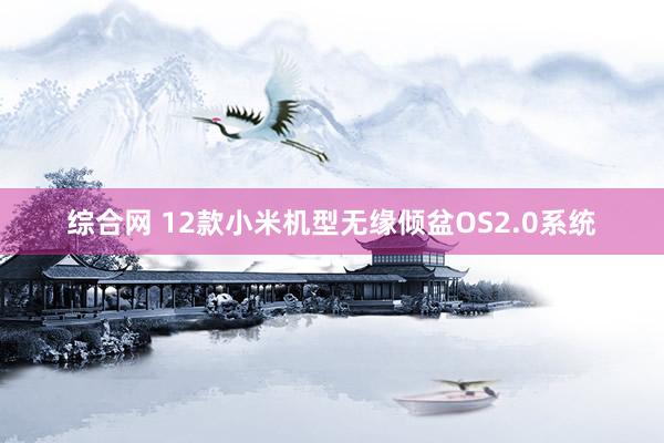 综合网 12款小米机型无缘倾盆OS2.0系统