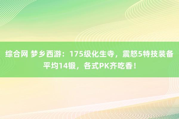 综合网 梦乡西游：175级化生寺，震怒5特技装备平均14锻，各式PK齐吃香！