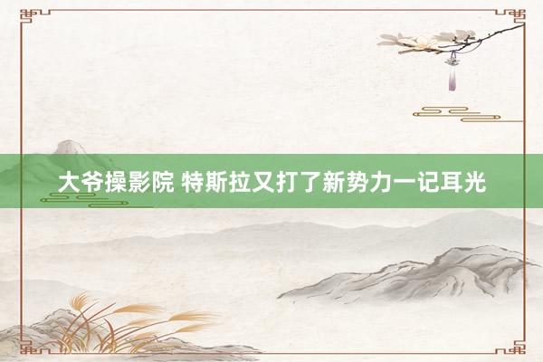 大爷操影院 特斯拉又打了新势力一记耳光