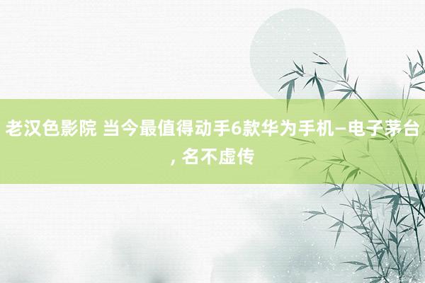 老汉色影院 当今最值得动手6款华为手机—电子茅台， 名不虚传