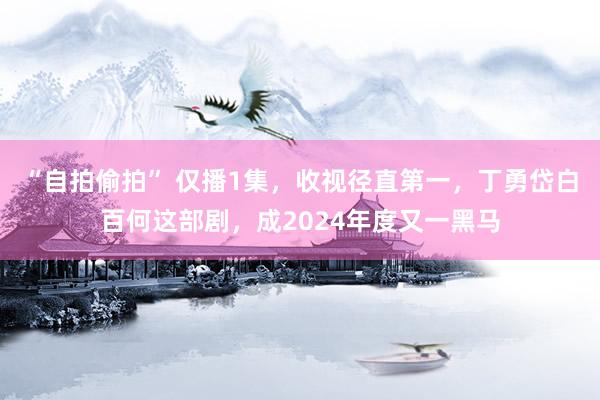 “自拍偷拍” 仅播1集，收视径直第一，丁勇岱白百何这部剧，成2024年度又一黑马