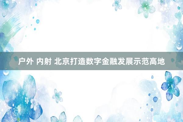 户外 内射 北京打造数字金融发展示范高地