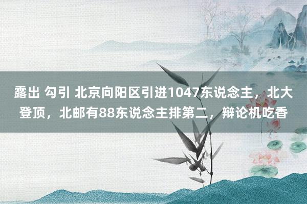 露出 勾引 北京向阳区引进1047东说念主，北大登顶，北邮有88东说念主排第二，辩论机吃香