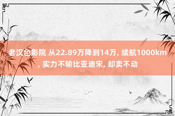 老汉色影院 从22.89万降到14万， 续航1000km， 实力不输比亚迪宋， 却卖不动
