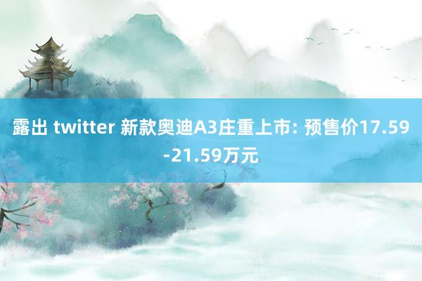 露出 twitter 新款奥迪A3庄重上市: 预售价17.59-21.59万元