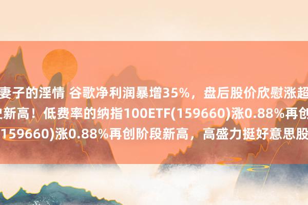 妻子的淫情 谷歌净利润暴增35%，盘后股价欣慰涨超5%，纳指昨夜创历史新高！低费率的纳指100ETF(159660)涨0.88%再创阶段新高，高盛力挺好意思股！