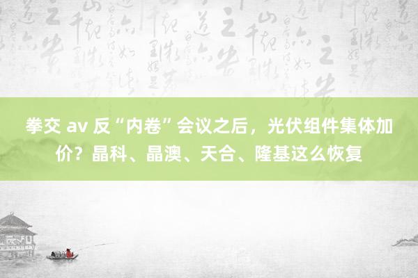 拳交 av 反“内卷”会议之后，光伏组件集体加价？晶科、晶澳、天合、隆基这么恢复