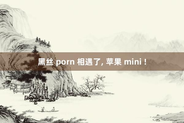 黑丝 porn 相遇了， 苹果 mini !