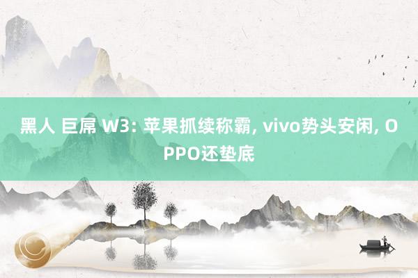 黑人 巨屌 W3: 苹果抓续称霸， vivo势头安闲， OPPO还垫底