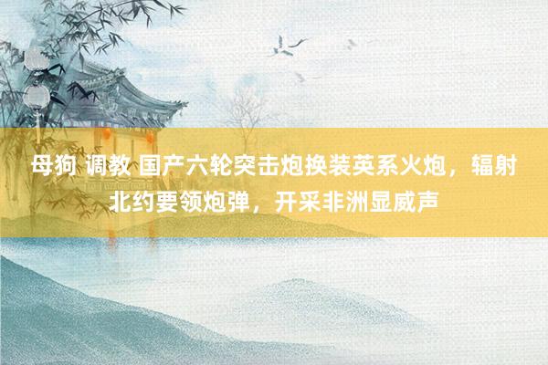 母狗 调教 国产六轮突击炮换装英系火炮，辐射北约要领炮弹，开采非洲显威声