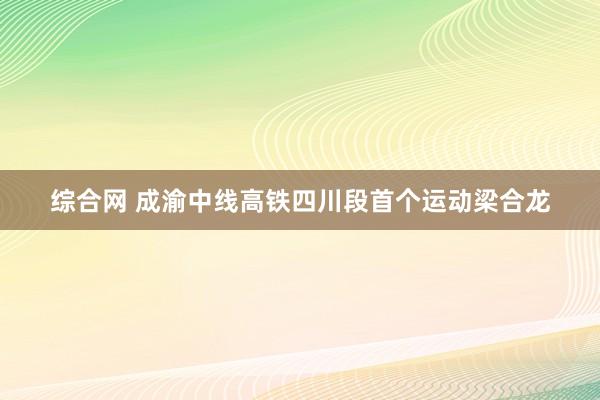 综合网 成渝中线高铁四川段首个运动梁合龙