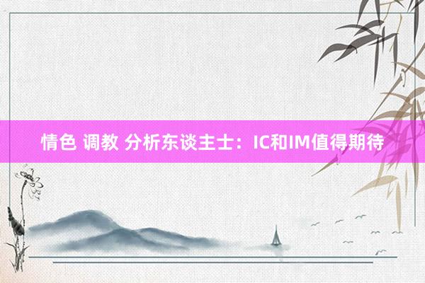 情色 调教 分析东谈主士：IC和IM值得期待