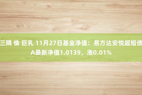 三隅 倫 巨乳 11月27日基金净值：易方达安悦超短债A最新净值1.0139，涨0.01%