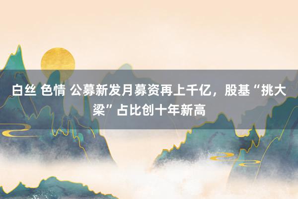 白丝 色情 公募新发月募资再上千亿，股基“挑大梁”占比创十年新高