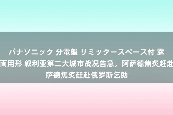 パナソニック 分電盤 リミッタースペース付 露出・半埋込両用形 叙利亚第二大城市战况告急，阿萨德焦炙赶赴俄罗斯乞助
