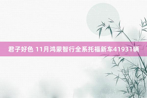 君子好色 11月鸿蒙智行全系托福新车41931辆