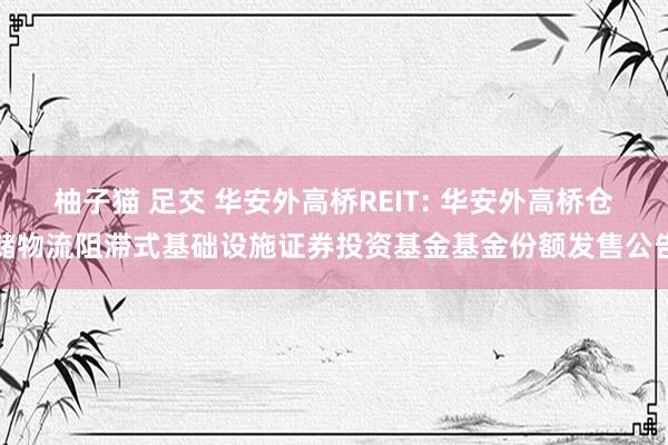 柚子猫 足交 华安外高桥REIT: 华安外高桥仓储物流阻滞式基础设施证券投资基金基金份额发售公告