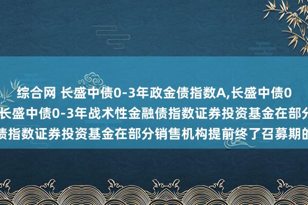 综合网 长盛中债0-3年政金债指数A,长盛中债0-3年政金债指数C: 对于长盛中债0-3年战术性金融债指数证券投资基金在部分销售机构提前终了召募期的公告