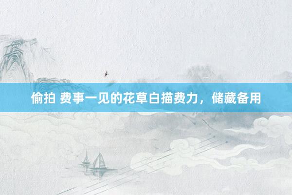 偷拍 费事一见的花草白描费力，储藏备用