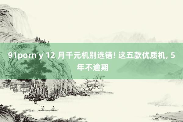 91porn y 12 月千元机别选错! 这五款优质机， 5 年不逾期